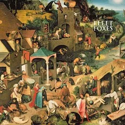 Cover art for Ragged Wood - Fleet Foxes karaoke version