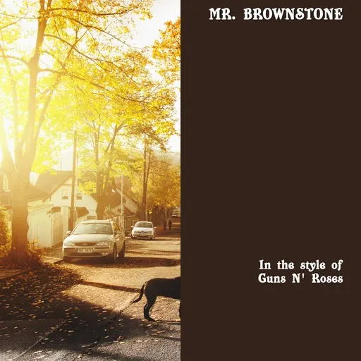 Karaoke Mr. Brownstone by Guns N' Roses — sing along with lyrics on Singa