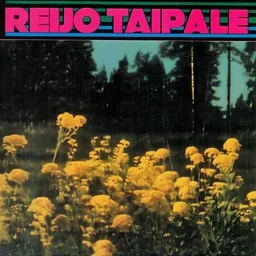 Titelbild für Niittykukkaset - Reijo Taipale Karaoke-Version