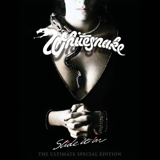 Karaoke Give Me More Time by Whitesnake — sing along with lyrics on Singa