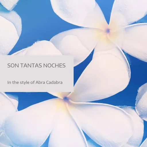 Son Tantas Noches - Karaoke