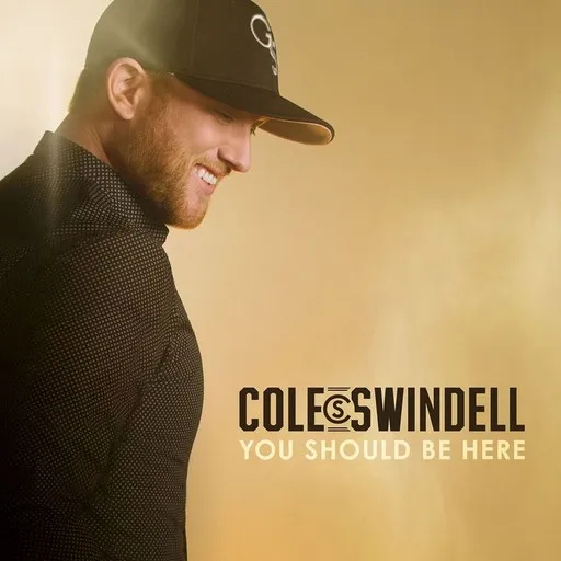 Karaoke Flatliner by Cole Swindell, Dierks Bentley — sing along with lyrics on Singa