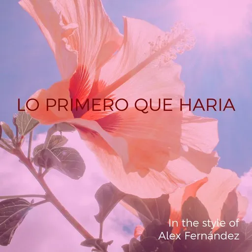 Lo Primero Que Haria - Karaoke