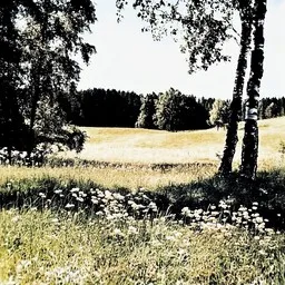 Cover art for En päivääkään vaihtaisi pois - Tapio Rautavaara karaoke version
