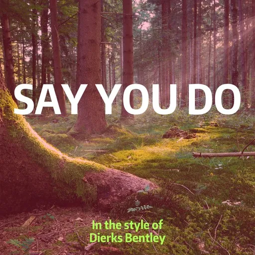 Karaoke Say You Do by Dierks Bentley — sing along with lyrics on Singa