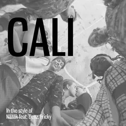 Karaokekappaleen Cali - Denz,Fricky,Näääk kansikuva