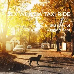 Omslagsbild för Sex While a Taxi Ride - Nylon Beat karaokeversion