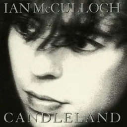 Cover art for Ian McCulloch