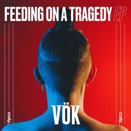Cover art for Skin - Vök karaoke version