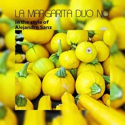 Cover art for La Margarita Dijo No - Alejandro Sanz karaoke version