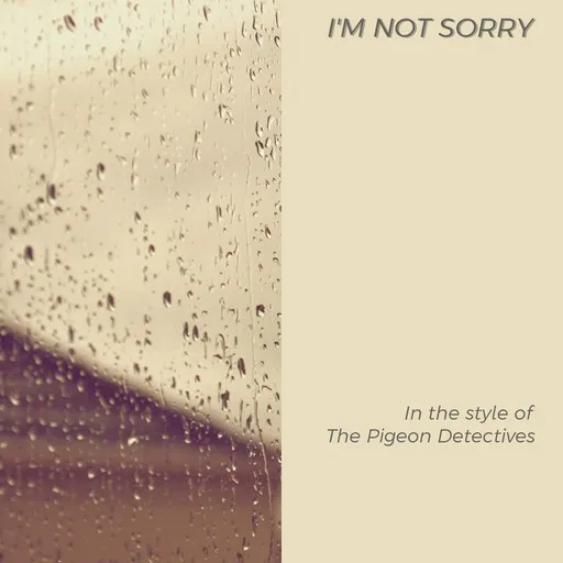 Karaoke I'm Not Sorry by The Pigeon Detectives — sing along with lyrics on Singa