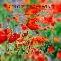 Cover art for Colors of the Wind - Judy Kuhn,Pocahontas Soundtrack karaoke version