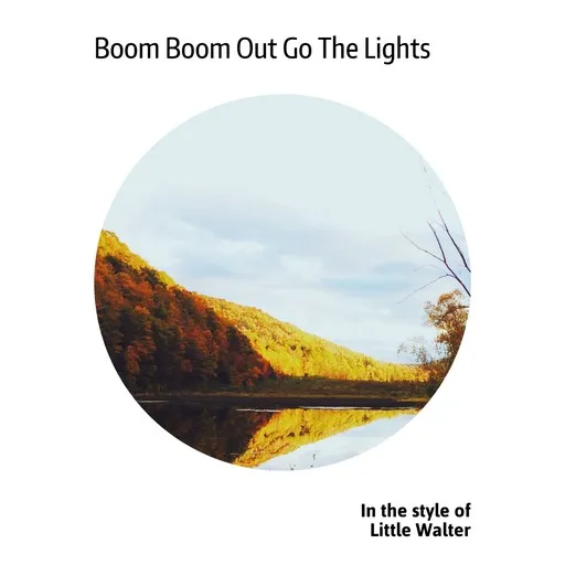 Karaoke Boom Boom Out Go The Lights esittäjältä Little Walter — laula mukana sanoituksilla Singassa