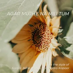 Omslagsbild för Agar Mujhe Na Mili Tum - Asha Bhosle,Kaajal,Mahendra Kapoor karaokeversion