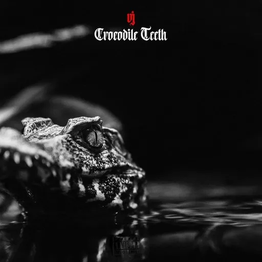 Karaoke Crocodile Teeth esittäjältä VJ — laula mukana sanoituksilla Singassa