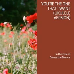 Cover art for You're the One That I Want (Ukulele Version) - Grease the Musical karaoke version