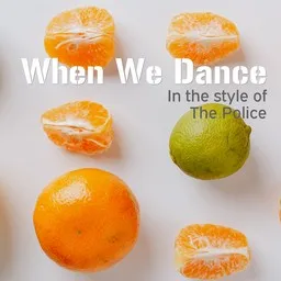 Cover art for When We Dance - The Police karaoke version