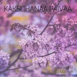Titelbild für Kaksi ihanaa päivää - Jaska Mäkynen Karaoke-Version