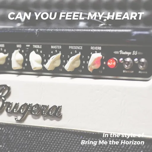 Karaoke Can You Feel My Heart av Bring Me the Horizon — sjung med på texten på Singa
