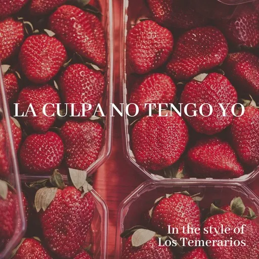 Karaoke La Culpa No Tengo Yo by Los Temerarios — sing along with lyrics on Singa