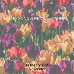 Titelbild für Valley Song (The Valley Song) - Newsboys Karaoke-Version