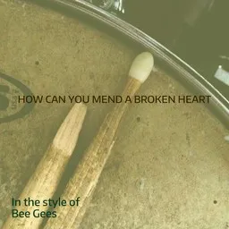 Cover art for How Can You Mend a Broken Heart - Bee Gees karaoke version