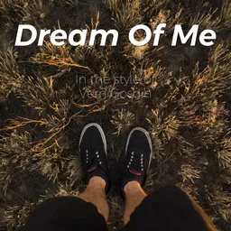 Cover art for Dream Of Me - Vern Gosdin karaoke version