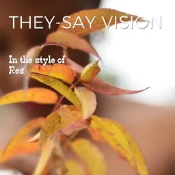 Cover art for They-Say Vision - Res karaoke version
