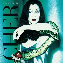Cher - Karaoke