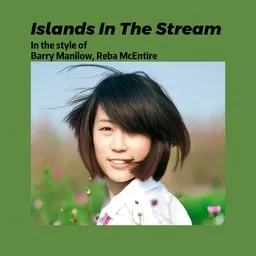Cover art for Islands In The Stream - Barry Manilow,Reba McEntire karaoke version