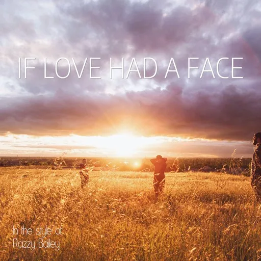 If Love Had A Face - Karaoke