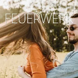 Cover art for Feuerwerk - Wincent Weiss karaoke version
