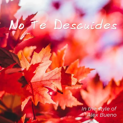 No Te Descuides - Karaoke