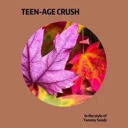 Cover art for Tommy Sands