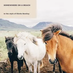 Cover art for Somewhere On a Beach - Dierks Bentley karaoke version