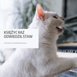 Karaokekappaleen Księżyc raz odwiedził staw - Akademia Pana Kleksa Soundtrack,Piotr Fronczewski kansikuva