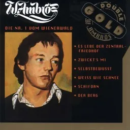 Titelbild für Tagwache - Wolfgang Ambros Karaoke-Version