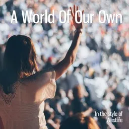 Omslagsbild för A World Of Our Own - Westlife karaokeversion