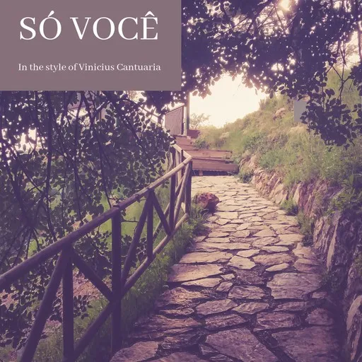 Karaoke Só Você by Vinicius Cantuaria — sing along with lyrics on Singa