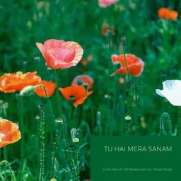 Karaokekappaleen Tu Hai Mera Sanam - I Will Always Love You,Mangal Singh kansikuva