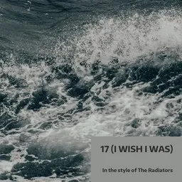 Cover art for 17 (I Wish I Was) - The Radiators karaoke version