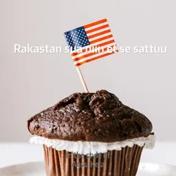 Omslagsbild för Rakastan sua niin et se sattuu - Anssi Kela karaokeversion