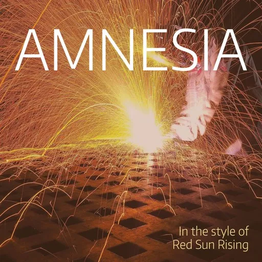 Amnesia - Karaoke