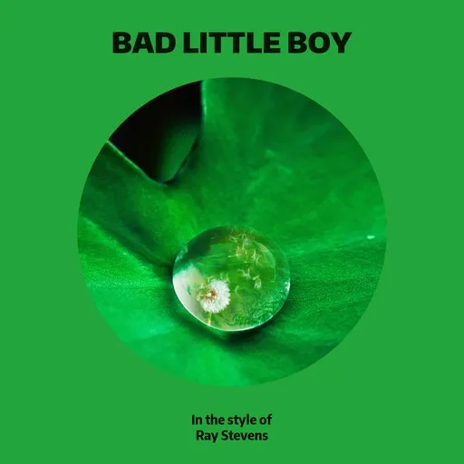 Bad Little Boy - Karaoke