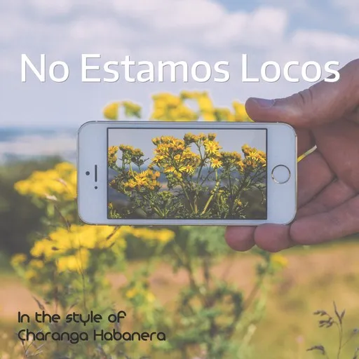 Karaoke No Estamos Locos by Charanga Habanera — sing along with lyrics on Singa