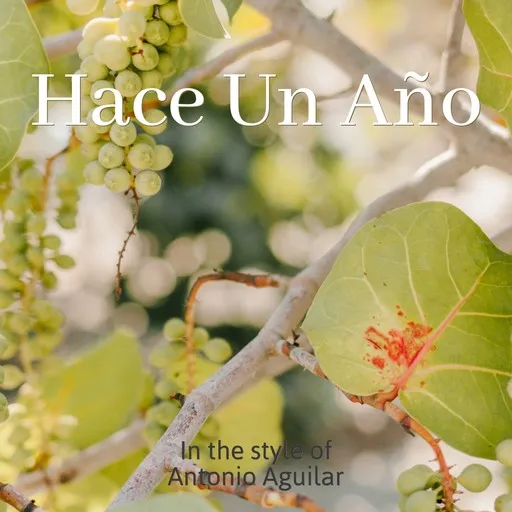 Hace Un Año - Karaoke