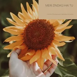 Titelbild für Meri Zindagi Hai Tu - Jubin Nautiyal,Neeti Mohan,Satyameva Jayate 2 Karaoke-Version