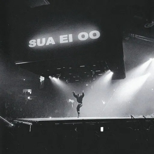 Karaoke Sua Ei Oo (WILLEM Remix) esittäjältä Isac Elliot, Willem — laula mukana sanoituksilla Singassa