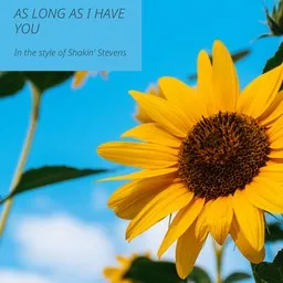 Cover art for As Long As I Have You - Shakin' Stevens karaoke version