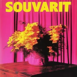 Cover art for Mietin sua haaveissain - Lasse Hoikka,Souvarit karaoke version